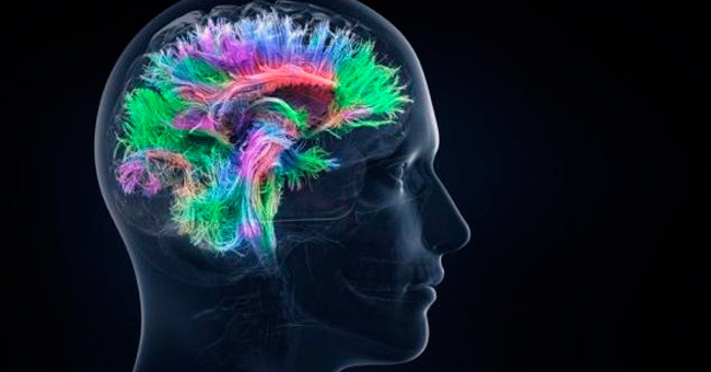 Если у вас высокий IQ, то вы сможете ответить на 5 вопросов для школьников