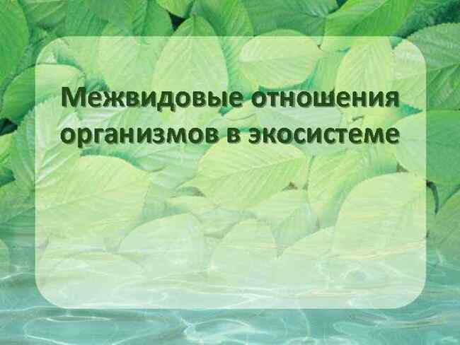 Тест - Межвидовые отношения организмов в экосистеме