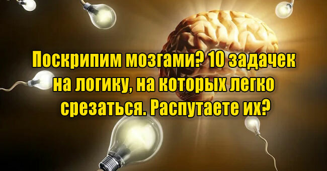 Поскрипим мозгами? 10 задачек на логику, на которых легко срезаться. Распутаете их?