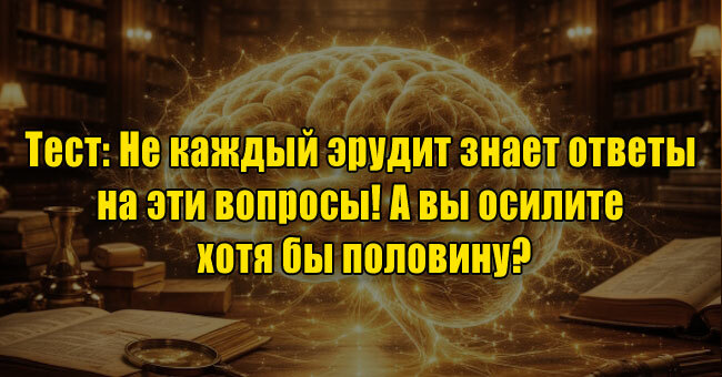 Не каждый эрудит знает ответы на эти вопросы! А вы осилите хотя бы половину?