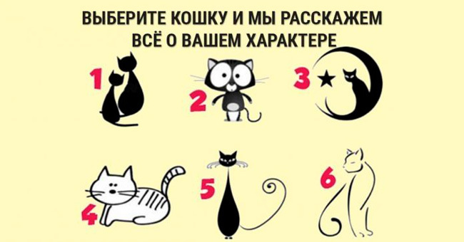 Выберите кошку и узнайте новое о вашем характере