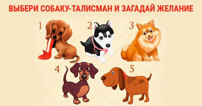 Узнайте, почему вам завидуют! Просто выберите картинку и получите точный ответ