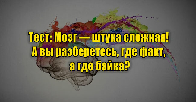 Мозг — штука сложная! А вы разберетесь, где факт, а где байка?