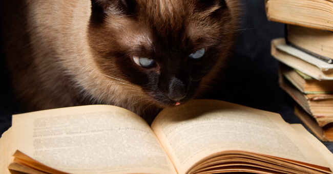 Вы умнейший человек, если скажете, кто написал эти книги