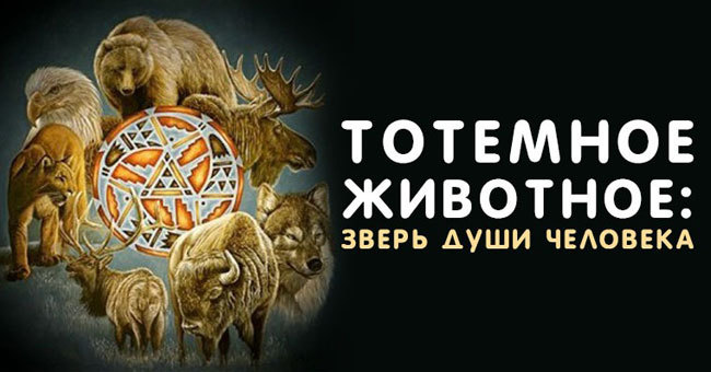 Лось, лиса, выдра, бабочка. Хотите знать, кто из них ваше тотемное животное?