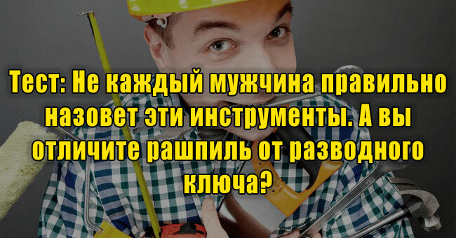 Не каждый мужчина правильно назовет эти инструменты. А вы отличите рашпиль от разводного ключа? 