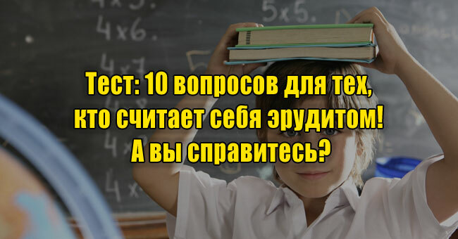 10 вопросов для тех, кто считает себя эрудитом! А вы справитесь?