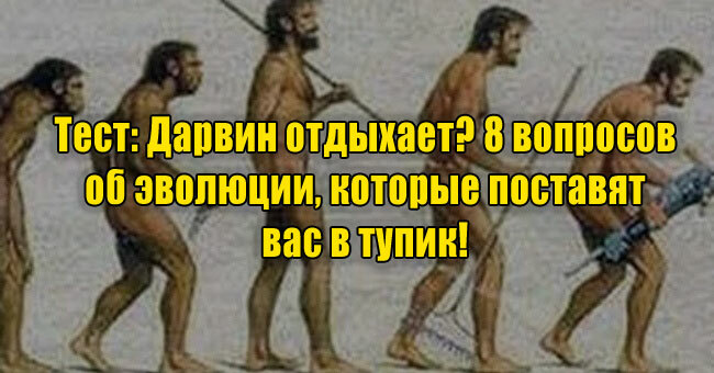 Дарвин отдыхает? 8 вопросов об эволюции, которые поставят вас в тупик!