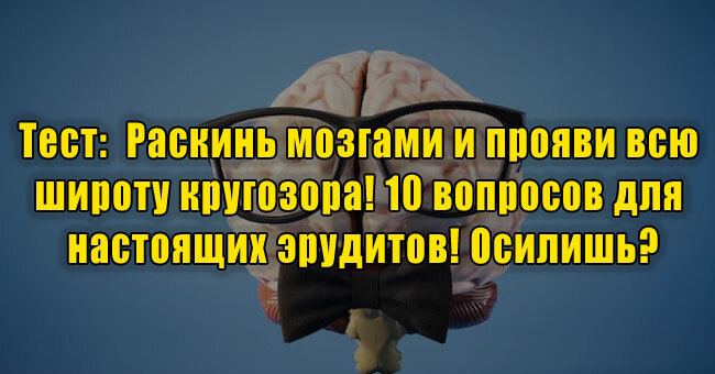 Раскинь мозгами и прояви всю широту кругозора! 10 вопросов для настоящих эрудитов! Осилишь?