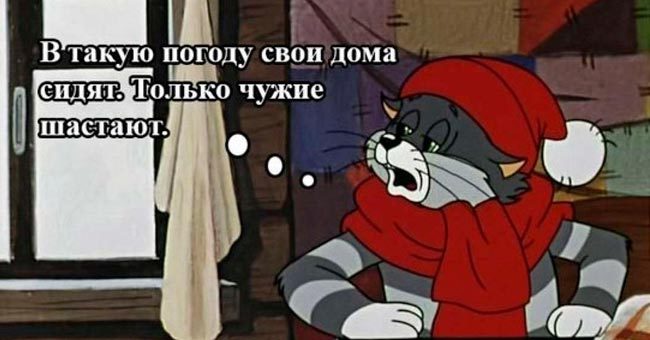 Угадайте цитату из мультфильма!