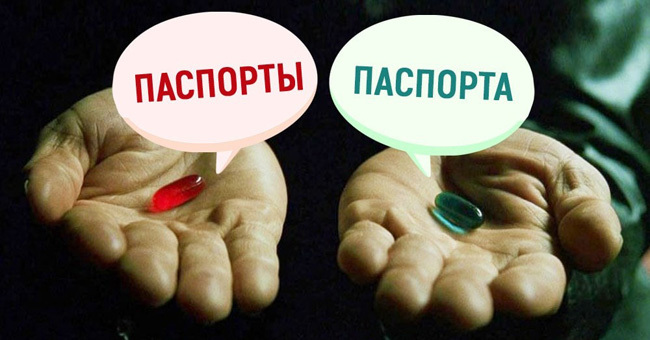 Только грамотный человек сможет написать эти 10 сложных слов во множественном числе