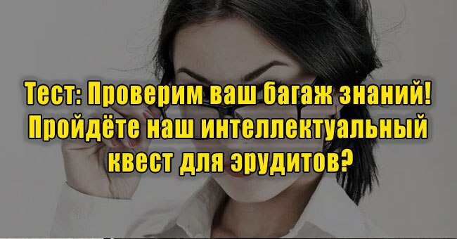 Проверим ваш багаж знаний! Пройдёте наш интеллектуальный квест для эрудитов?