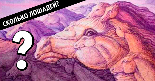 То, сколько лошадей вы видите на картинке, расскажет об особенностях вашей личности