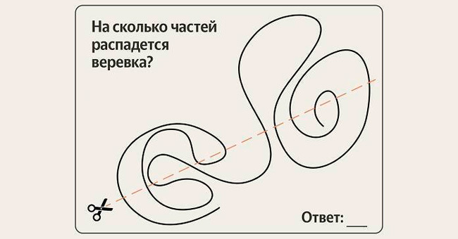 На сколько частей распадется веревка, если разрезать ее ножницами?