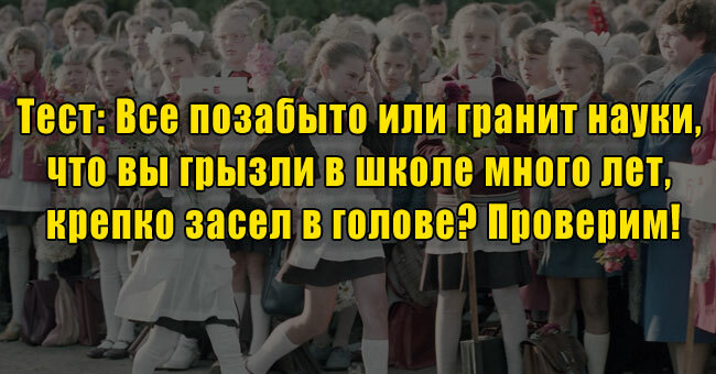 Все позабыто или гранит науки, что вы грызли в школе много лет, крепко засел в голове? Проверим!