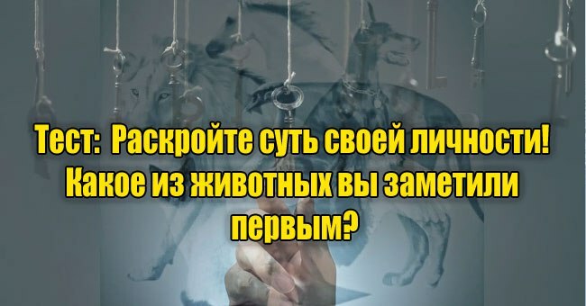 Раскройте суть своей личности! Какое из животных вы заметили первым?