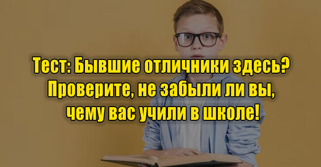 Бывшие отличники здесь? Проверите, не забыли ли вы, чему вас учили в школе!