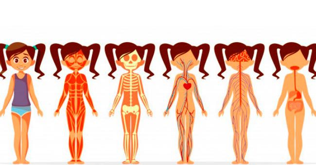 Если вы не пройдите тест на знание окружающего мира, то вам стоило бы вернуться в третий класс