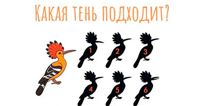 Мало кому удается решить эту задачку меньше, чем за минуту. Хотите попробовать?