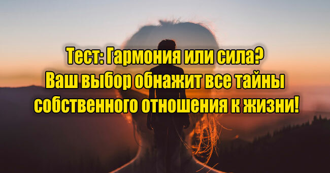 Гармония или сила? Ваш выбор обнажит все тайны собственного отношения к жизни!