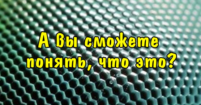 А вы сможете определить, что изображено на этих фото?