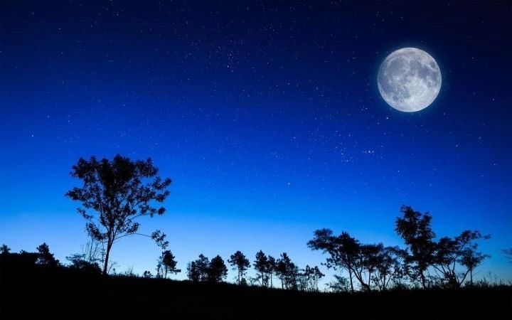 День спит, ночь глядит, утром умирает, другая ее сменяет.