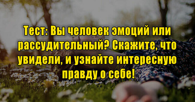 Вы человек эмоций или рассудительный? Скажите, что увидели, и узнайте правду о себе!