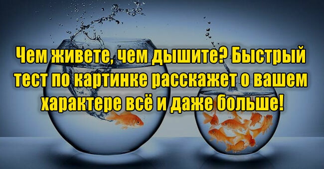 Чем живете, чем дышите? Что расскажет о вашем характере увиденное первым?