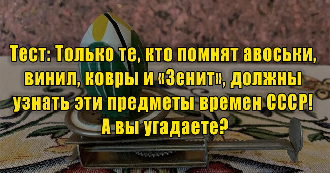 Только те, кто помнят авоськи, винил, ковры и «Зенит», должны узнать эти предметы времен СССР! А вы угадаете?