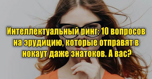 Интеллектуальный ринг: 10 вопросов на эрудицию, которые отправят в нокаут даже знатоков. А вас?
