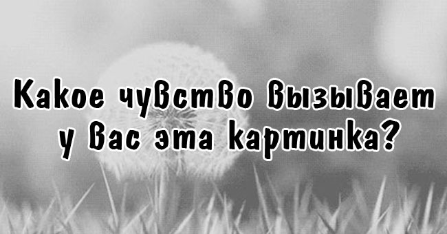Мы определим ваш характер по тому, как вы воспринимаете картинки.