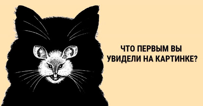 Пройдите тест на личность и узнайте, кем вы являетесь: деятелем или наблюдателем