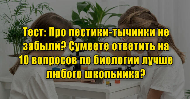 Про пестики-тычинки не забыли? Сумеете ответить на 10 вопросов по биологии лучше любого школьника? 