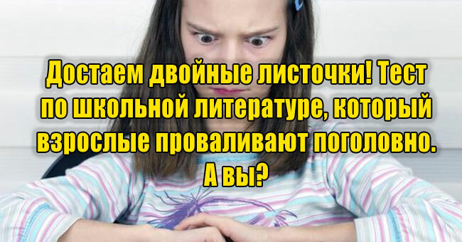 Достаем двойные листочки! Тест по школьной литературе, который взрослые проваливают поголовно. А вы? 