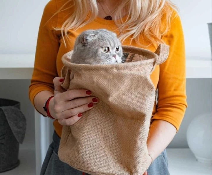 ____ в мешке не утаишь.