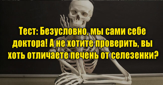 Безусловно, мы сами себе доктора! А не хотите проверить, вы хоть отличаете печень от селезенки?