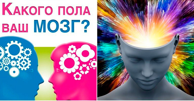 Узнай, какого пола твое мышление