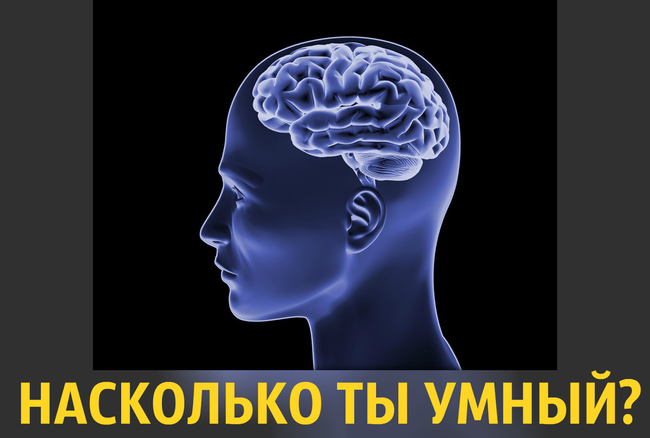 Тест: 10 вопросов, которые определят умный ли вы человек