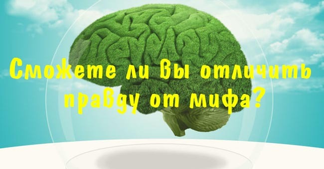 Сможете ли вы отличить правду от мифа?