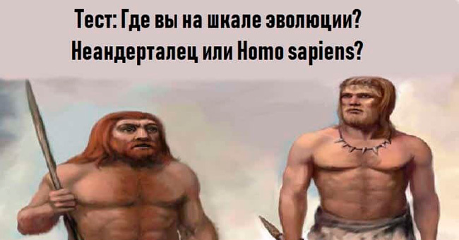 Где вы находитесь на шкале эволюции?