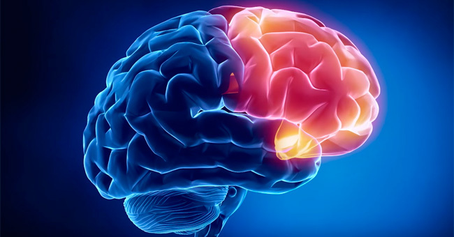 IQ тест: 12 вопросов определят уровень вашего интеллекта!