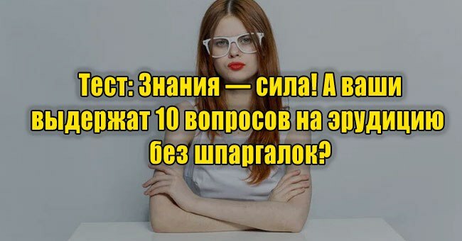 Знания — сила! А ваши выдержат 10 вопросов на эрудицию без шпаргалок?