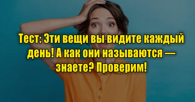 Эти вещи вы видите каждый день! А как они называются — знаете? Проверим!