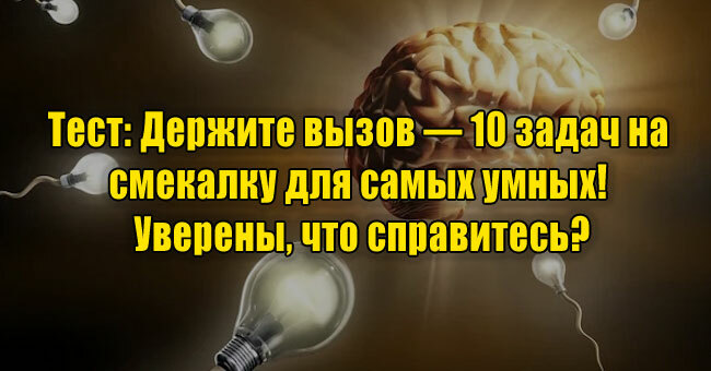 Держите вызов — 10 задач на смекалку для самых умных! Уверены, что справитесь?