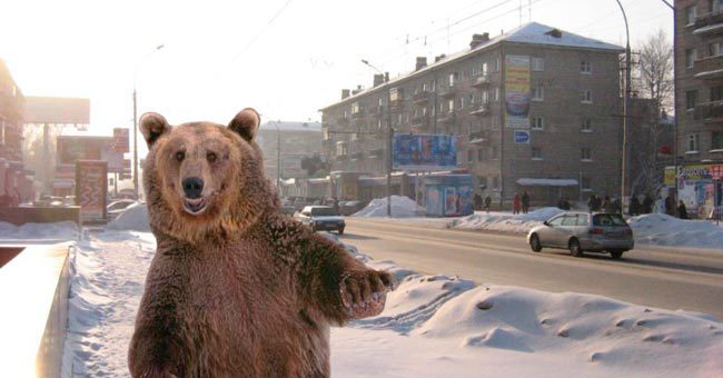 Тест по стереотипам российских городов