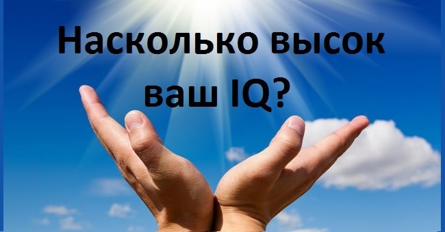 Насколько высок ваш IQ?