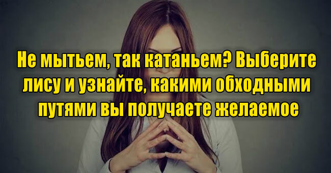 Не мытьем, так катаньем? Выберите лису и узнайте, какими обходными путями вы получаете желаемое