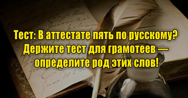 В аттестате пять по русскому? Держите тест для грамотеев — определите род этих слов!