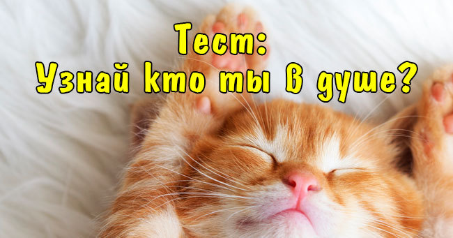 Тест, который покажет, каким животным вы являетесь в душе.