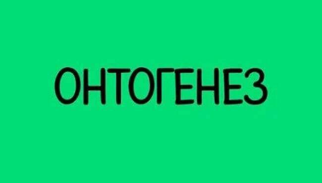 Подберите антоним к этому слову